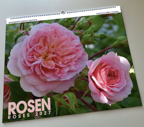 ROSEN KALENDER